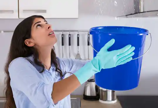 Fuite-eau-de-toit-toiture-bruyeres-sur-oise-95820 Vérification de fuite de toiture à Bruyères sur Oise